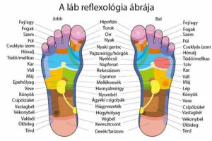 Állapotfelmérés és kezelés reflexológiával