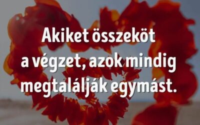 Reinkarnációs utazások XII. Társunk az Úton